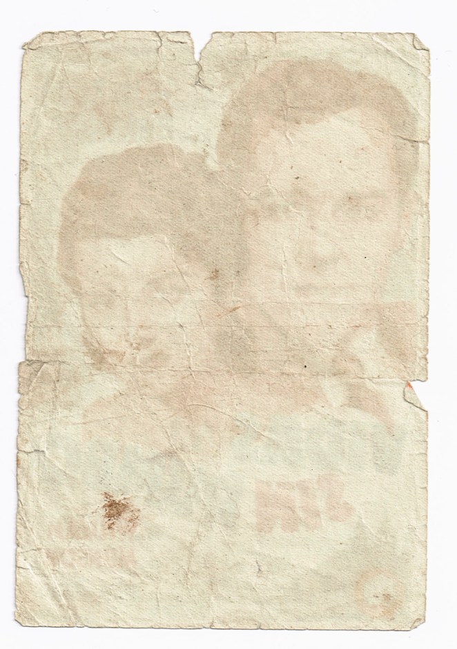 post-cinemas_rosaneutro2014_15