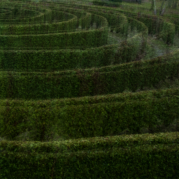 rosaneutro0037_UNI_VERSOS02_2013