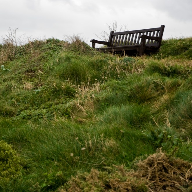 uni-versos_2012_2013_rosaneutro_11