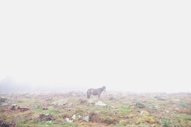 uni-versos_2012_2013_rosaneutro_12