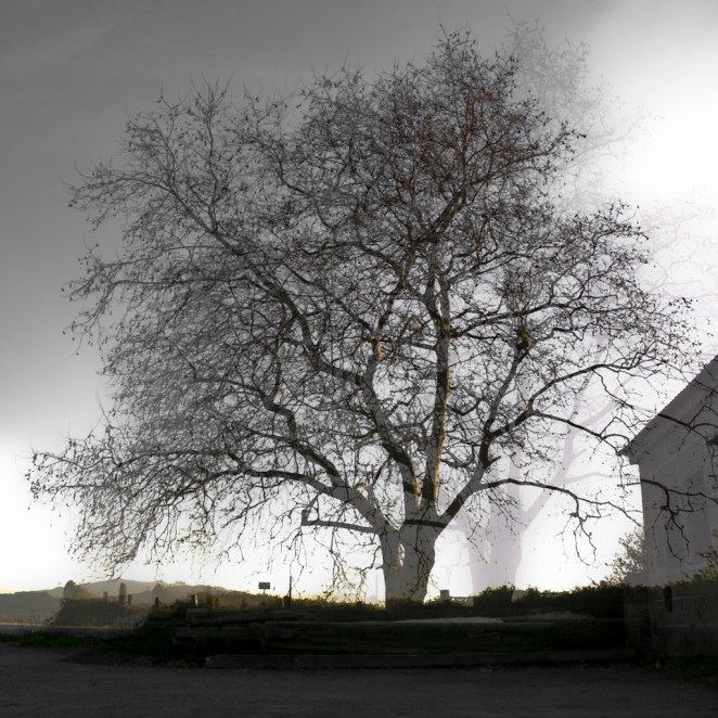 uni-versos_2012_2013_rosaneutro_8