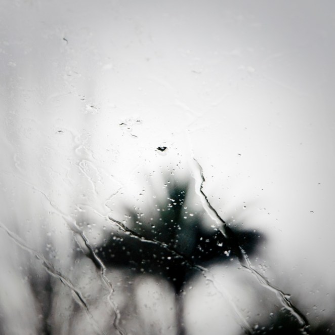 uni-versos_2012_2013_rosaneutro_9