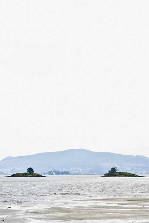 UNI_VERSOS_S_2B_1rosaneutro